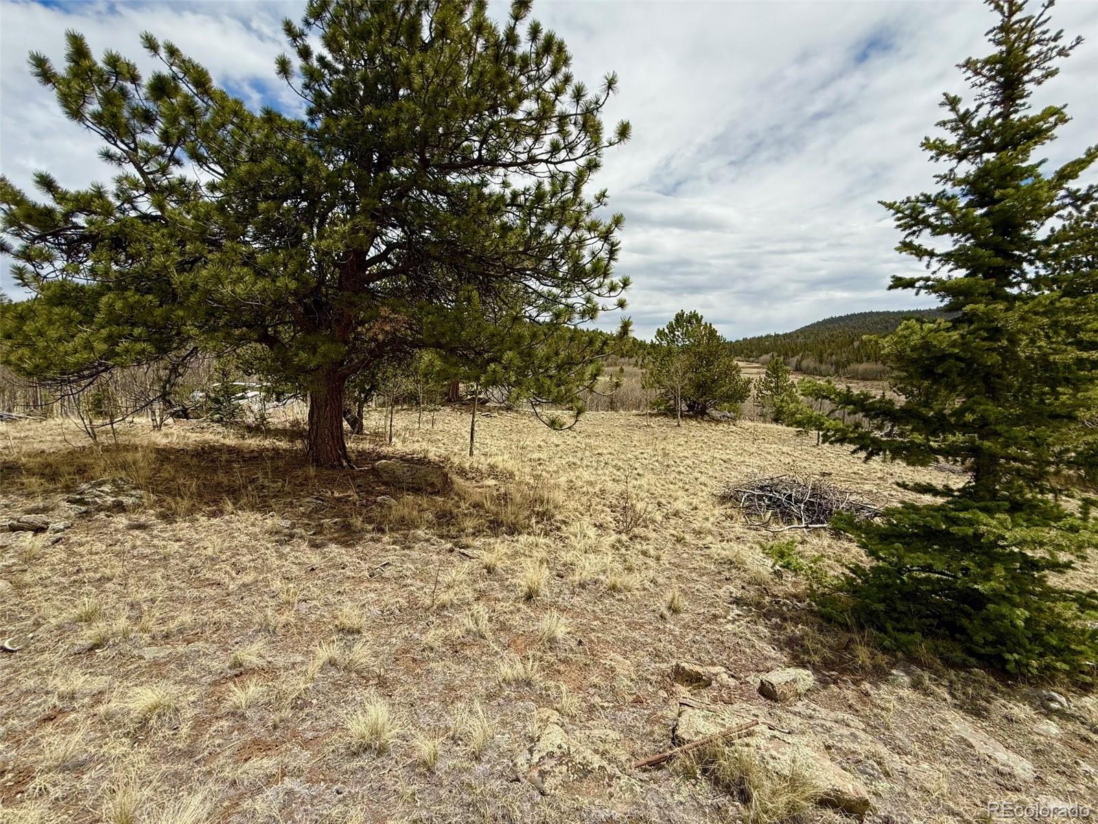735 Quiver Road Jefferson, CO 80456 - Photo 22 of 32