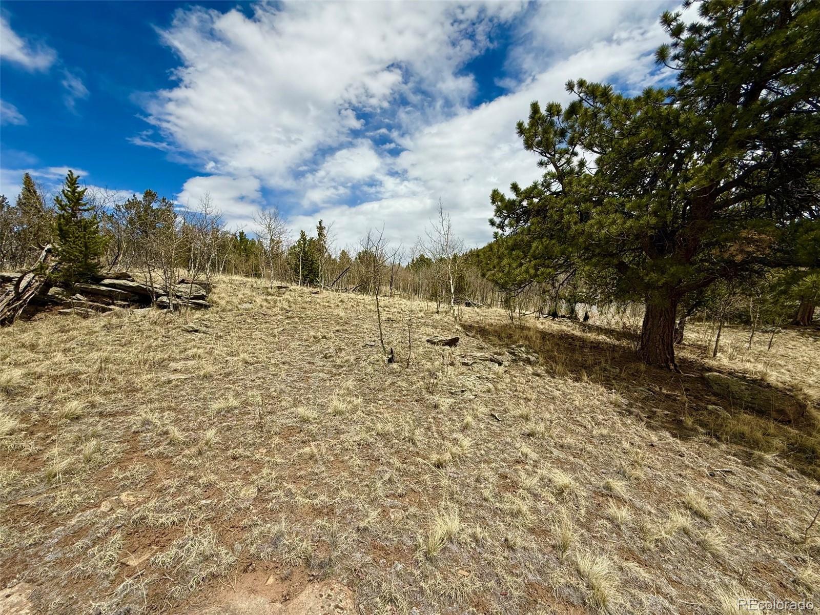 735 Quiver Road Jefferson, CO 80456 - Photo 23 of 32