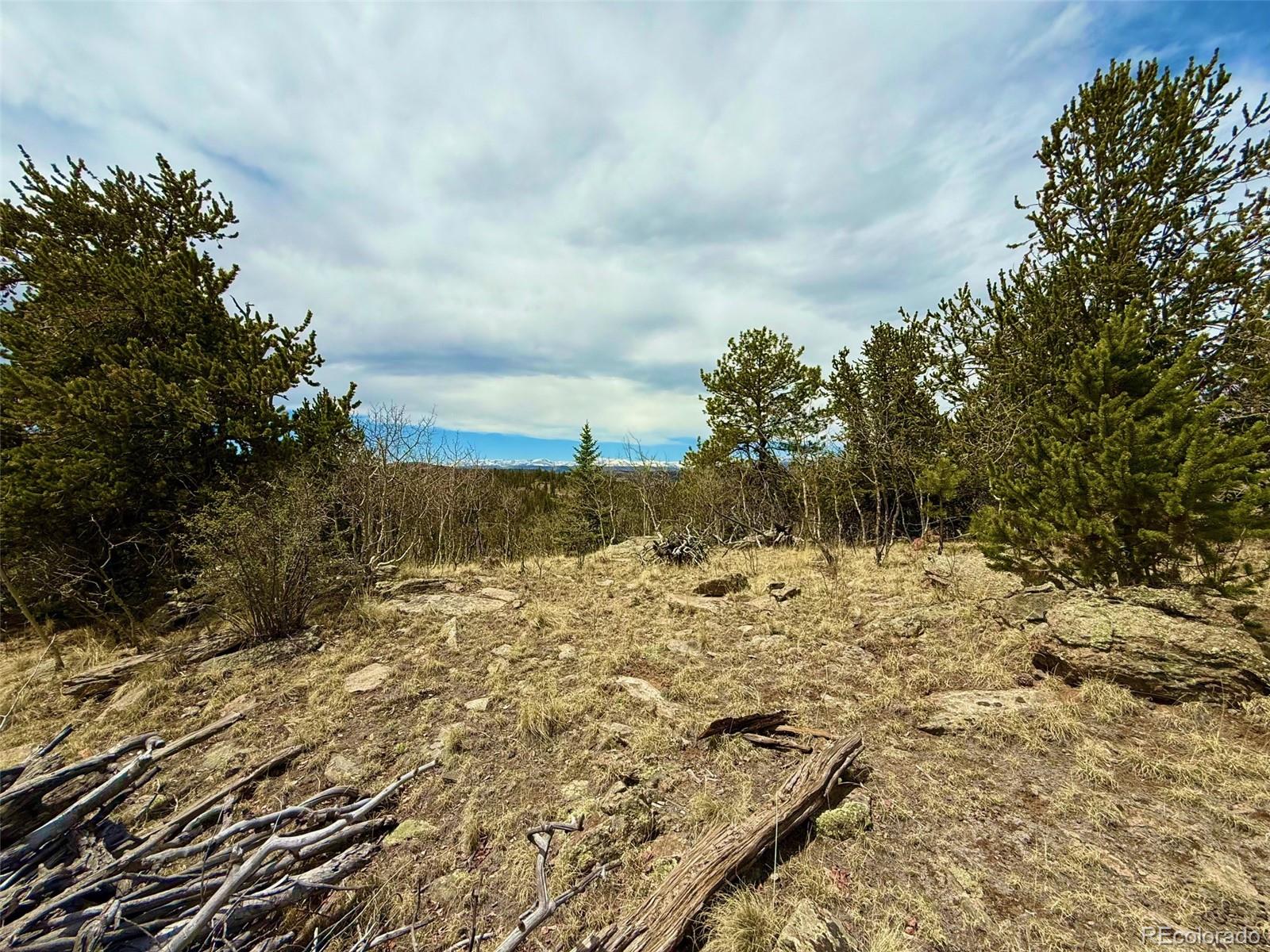 735 Quiver Road Jefferson, CO 80456 - Photo 25 of 32