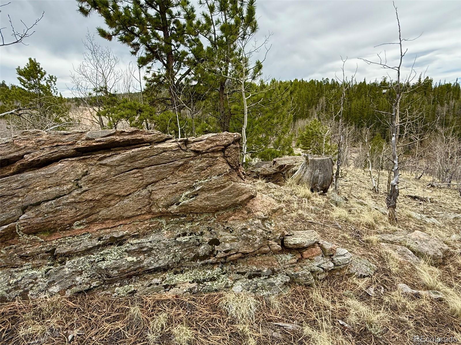 735 Quiver Road Jefferson, CO 80456 - Photo 27 of 32