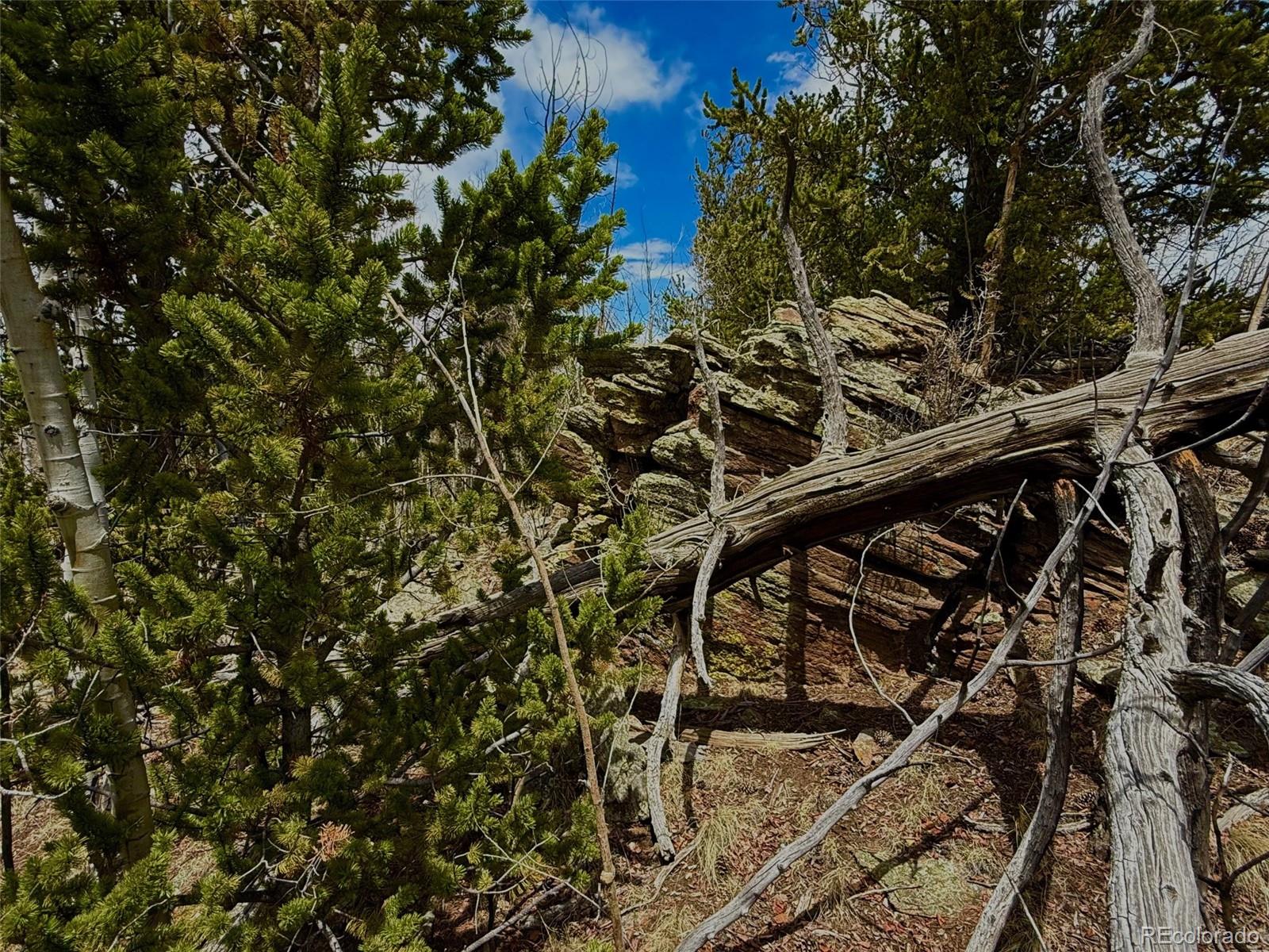 735 Quiver Road Jefferson, CO 80456 - Photo 29 of 32