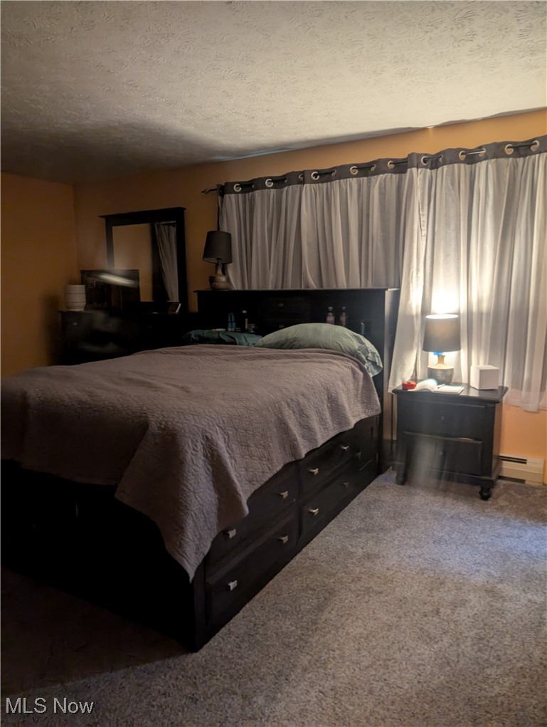666 East Windsor Road Orwell, OH 44076 - Photo 12 of 33 Bedroom with a baseboard heating unit, carpet, and a textured ceiling