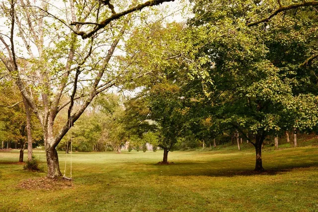 a view of yard with swimming pool and trees