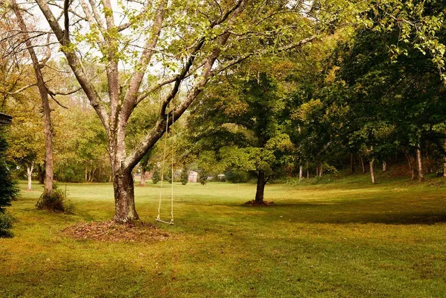 a view of yard with swimming pool and trees