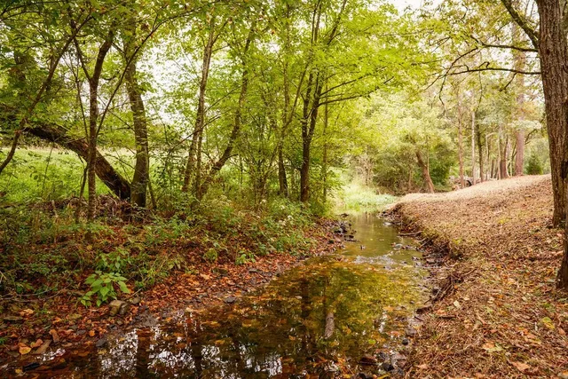 a view of outdoor space and a yard