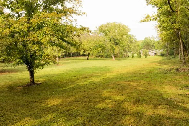 a view of a city with lush green forest