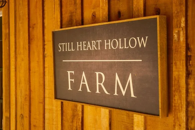 a view of ocean view