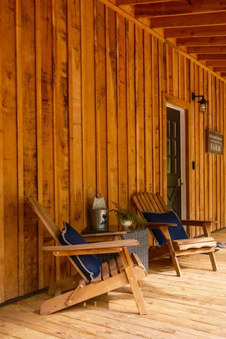 a view of a forest with a street
