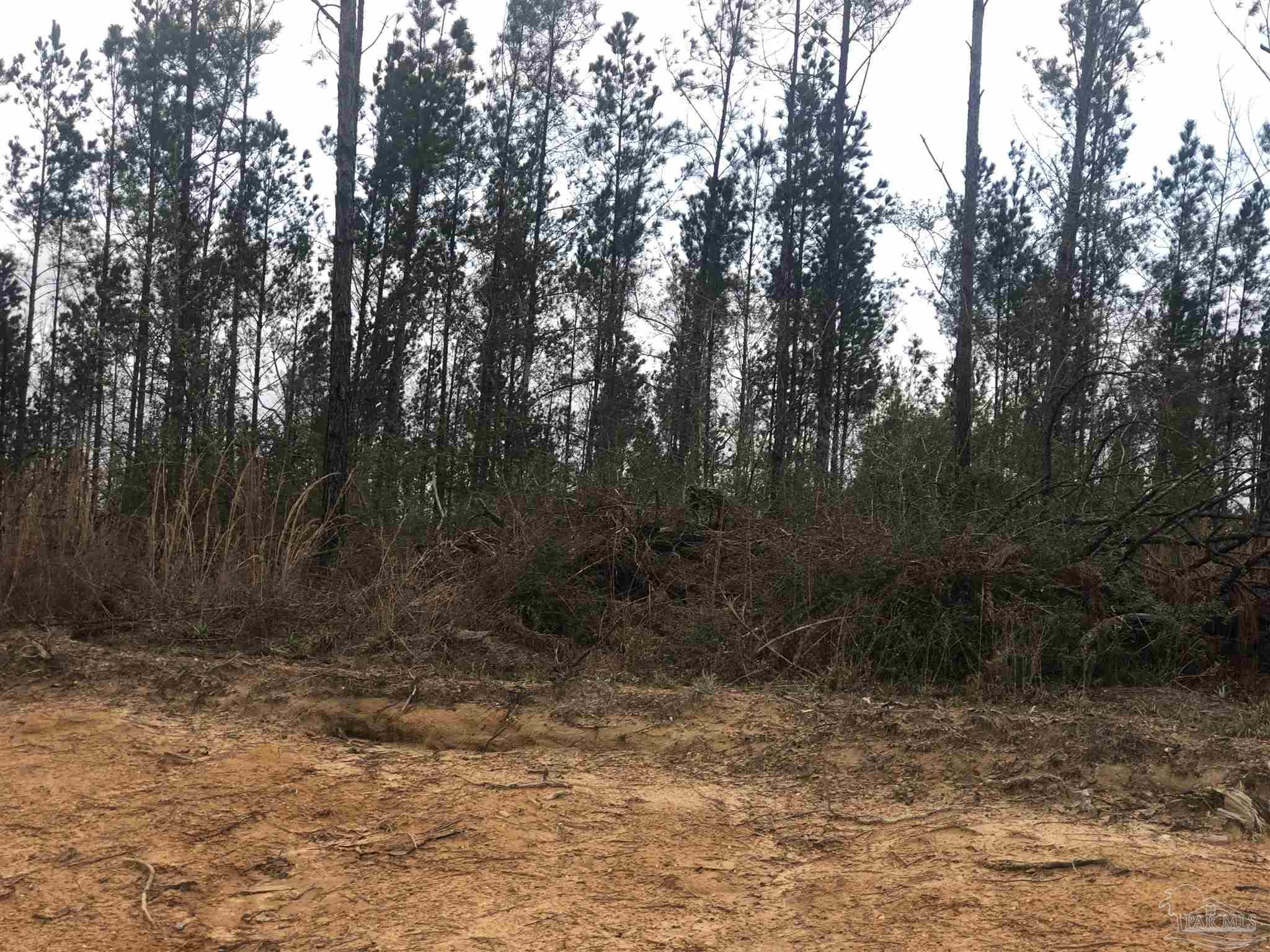 2 Molino Bridge Road Pace, FL 32571 - Photo 2 of 4