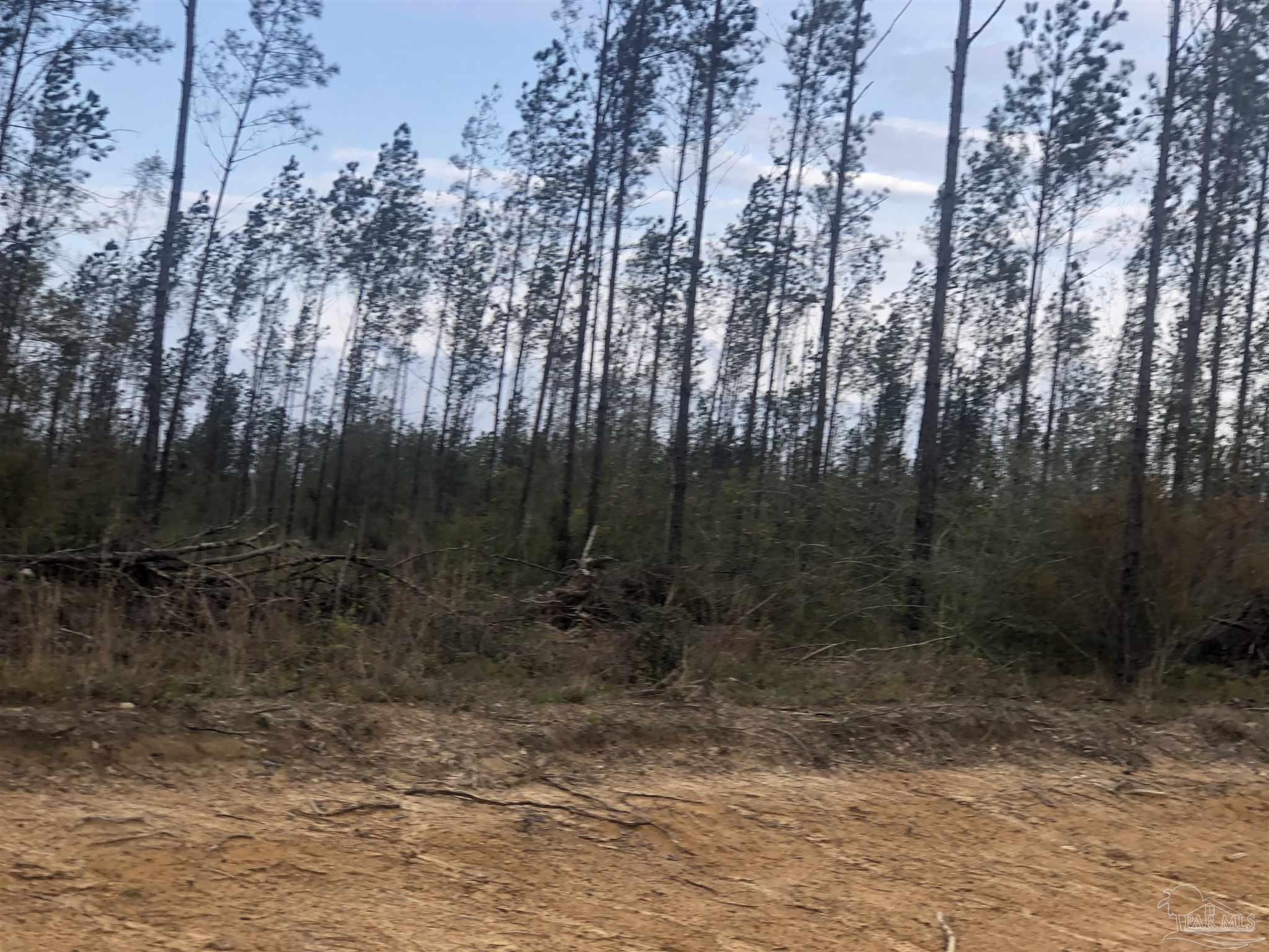 2 Molino Bridge Road Pace, FL 32571 - Photo 3 of 4