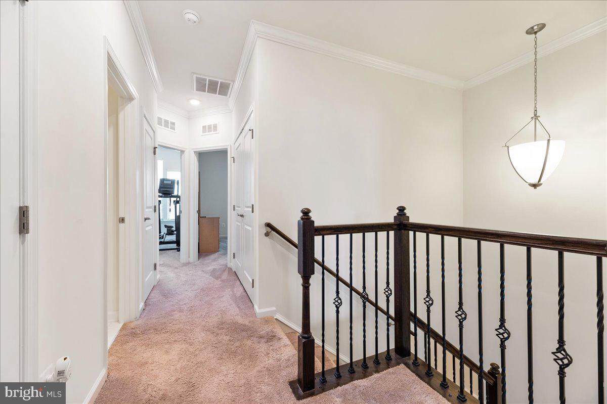 13613 Rockingham Lane Gainesville, VA 20155 - Photo 19 of 46 Snazzy Iron Ballusters!