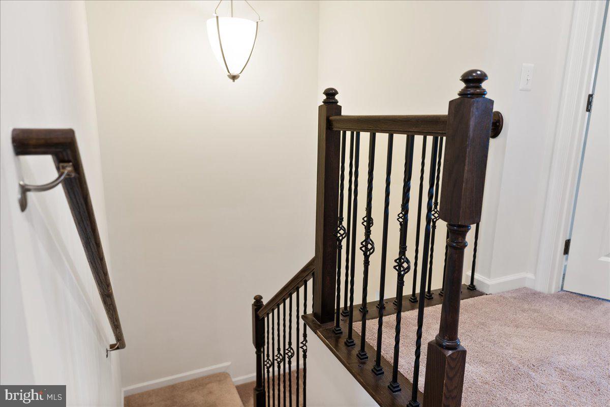 13613 Rockingham Lane Gainesville, VA 20155 - Photo 20 of 46 Light and Bright in the hallway.
