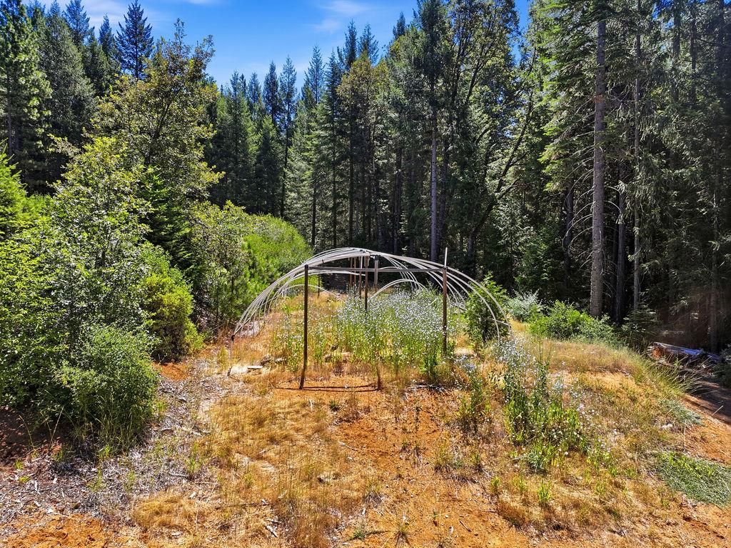17975 Mobley Spgs Road Nevada City, CA 95959 - Photo 24 of 45 Gallery Image 24