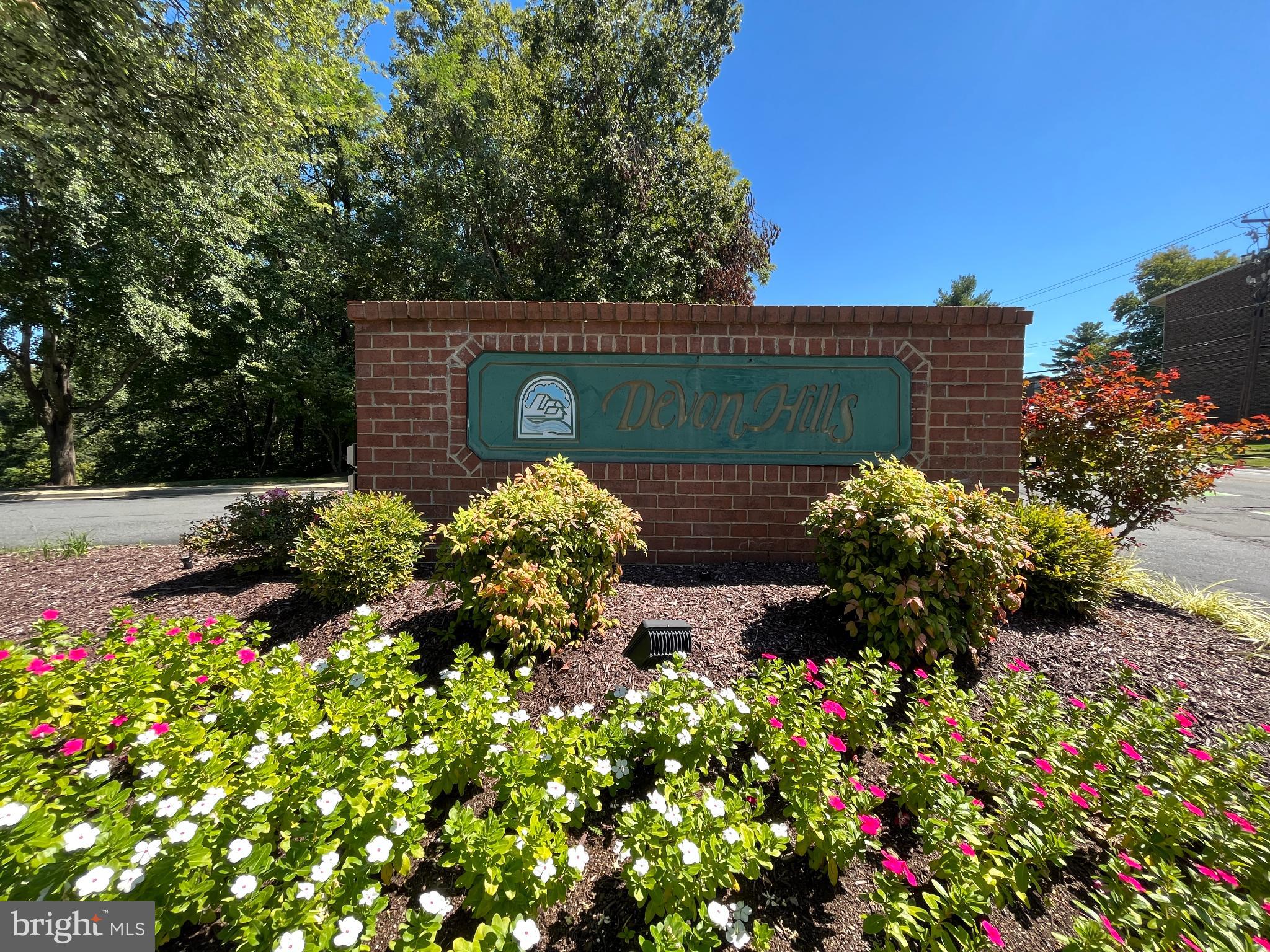 a view of a garden with flowers