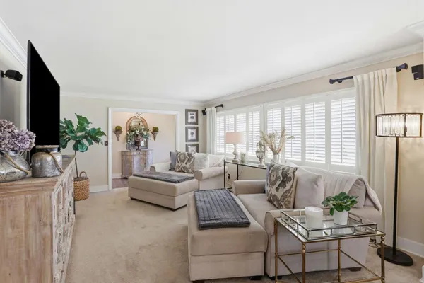 a living room with furniture potted plant and a flat screen tv