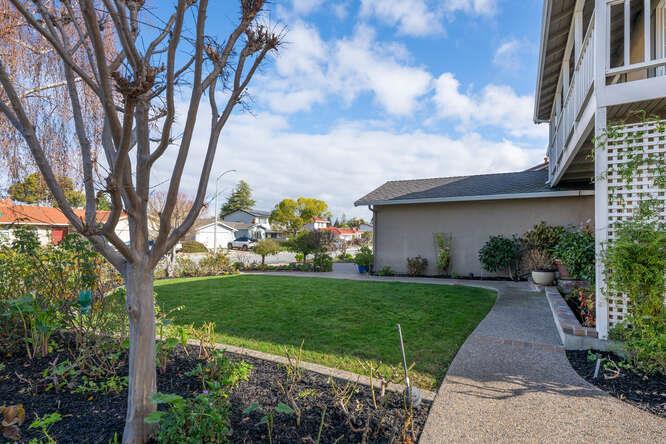 906 Bluebell Way Sunnyvale, CA 94086 - Photo 2 of 27 a view of a yard with plants and a large tree