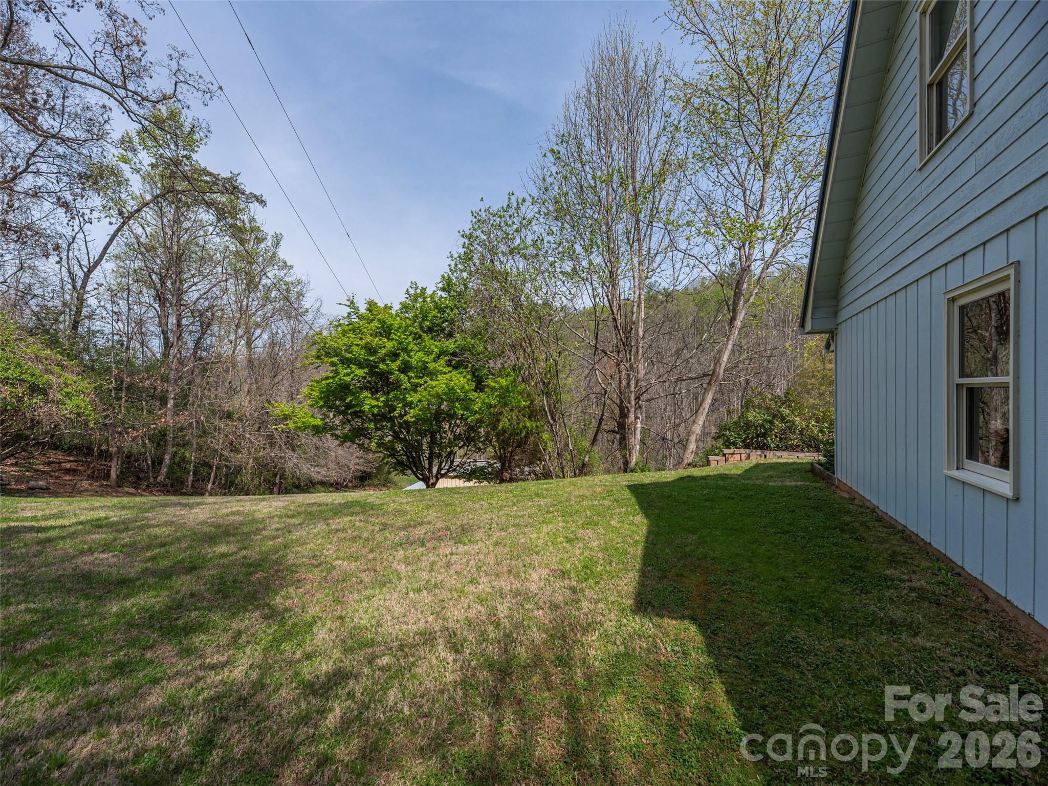 444 Martin Branch Road Leicester, NC 28748 - Photo 30 of 40