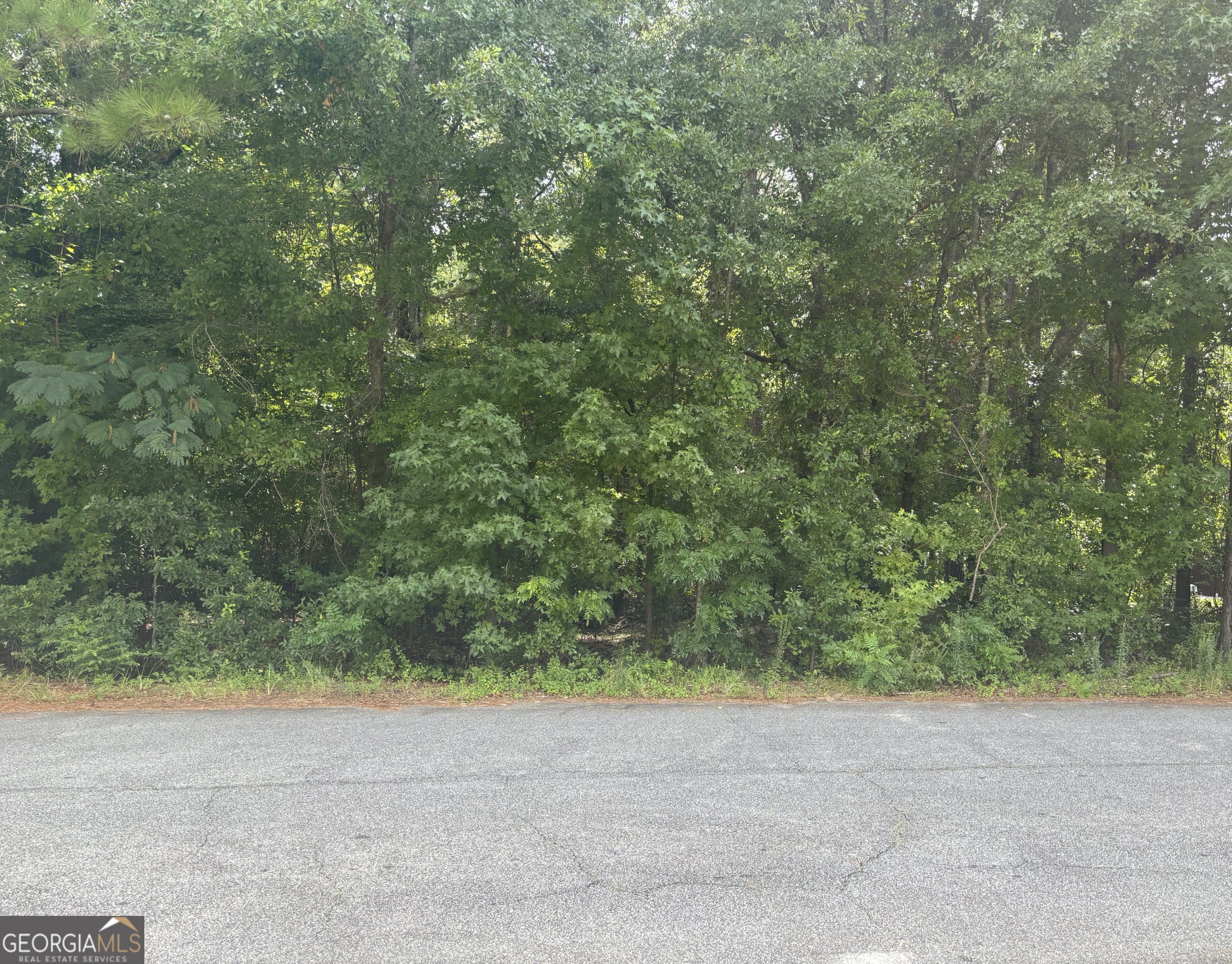 a view of a yard with a tree