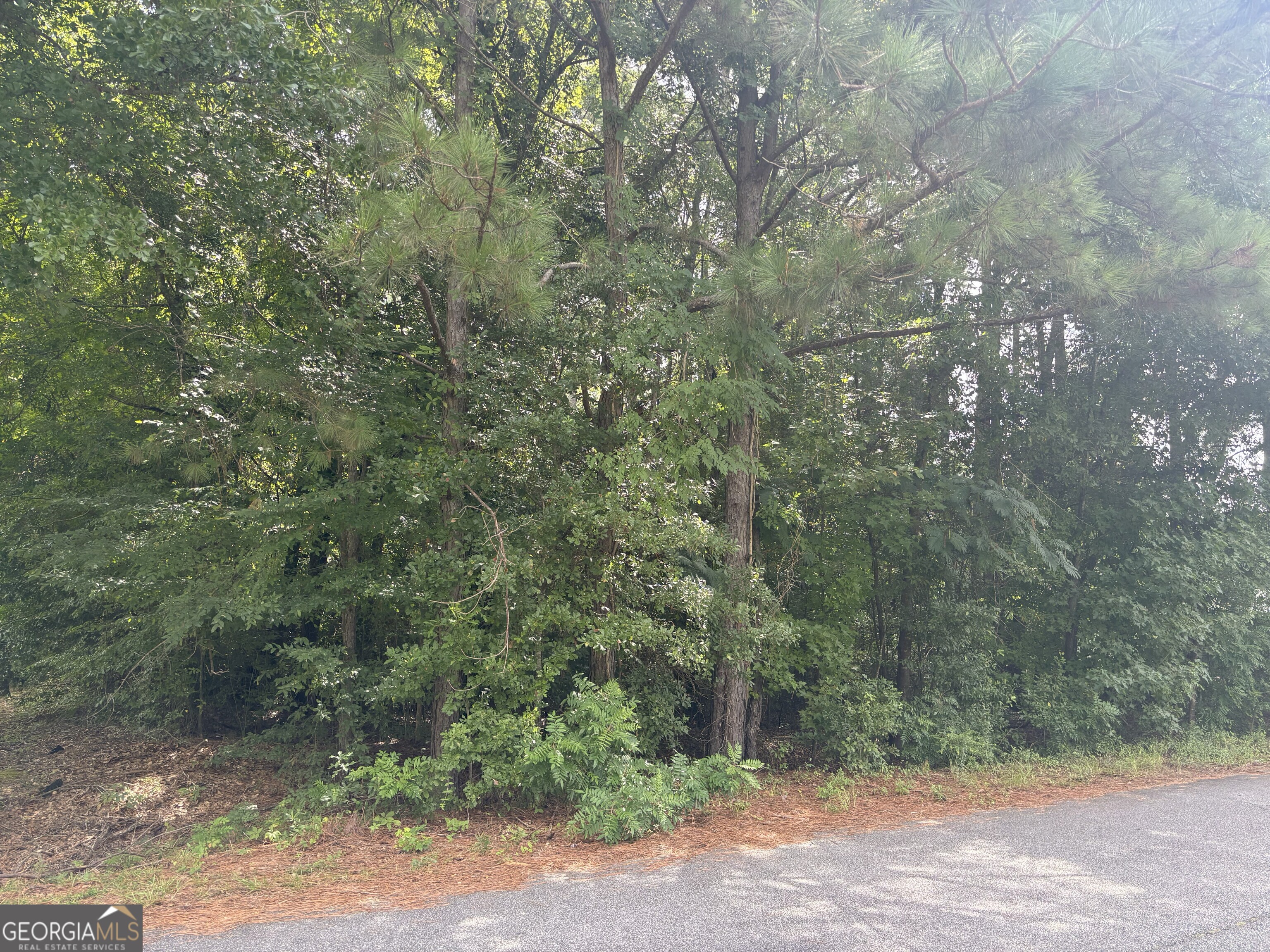 119 Deer Ridge Drive Lizella, GA 31052 - Photo 2 of 3 a view of a forest with trees in the background