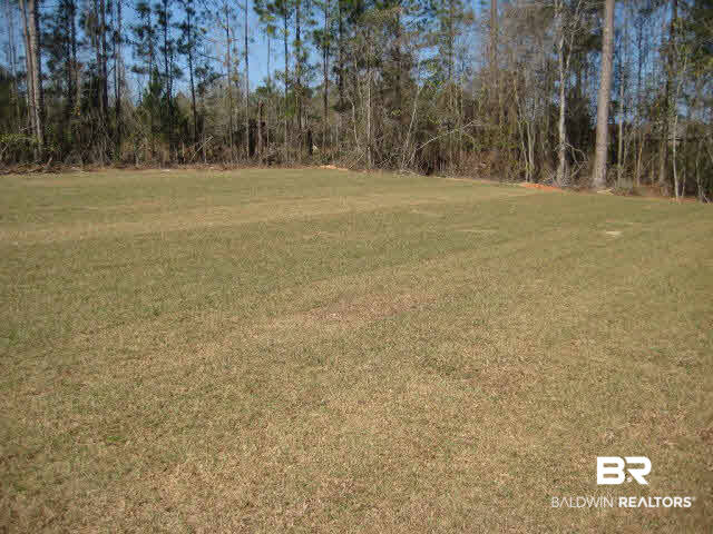 11712 Lodgepole Court Daphne, AL 36527 - Photo 32 of 34