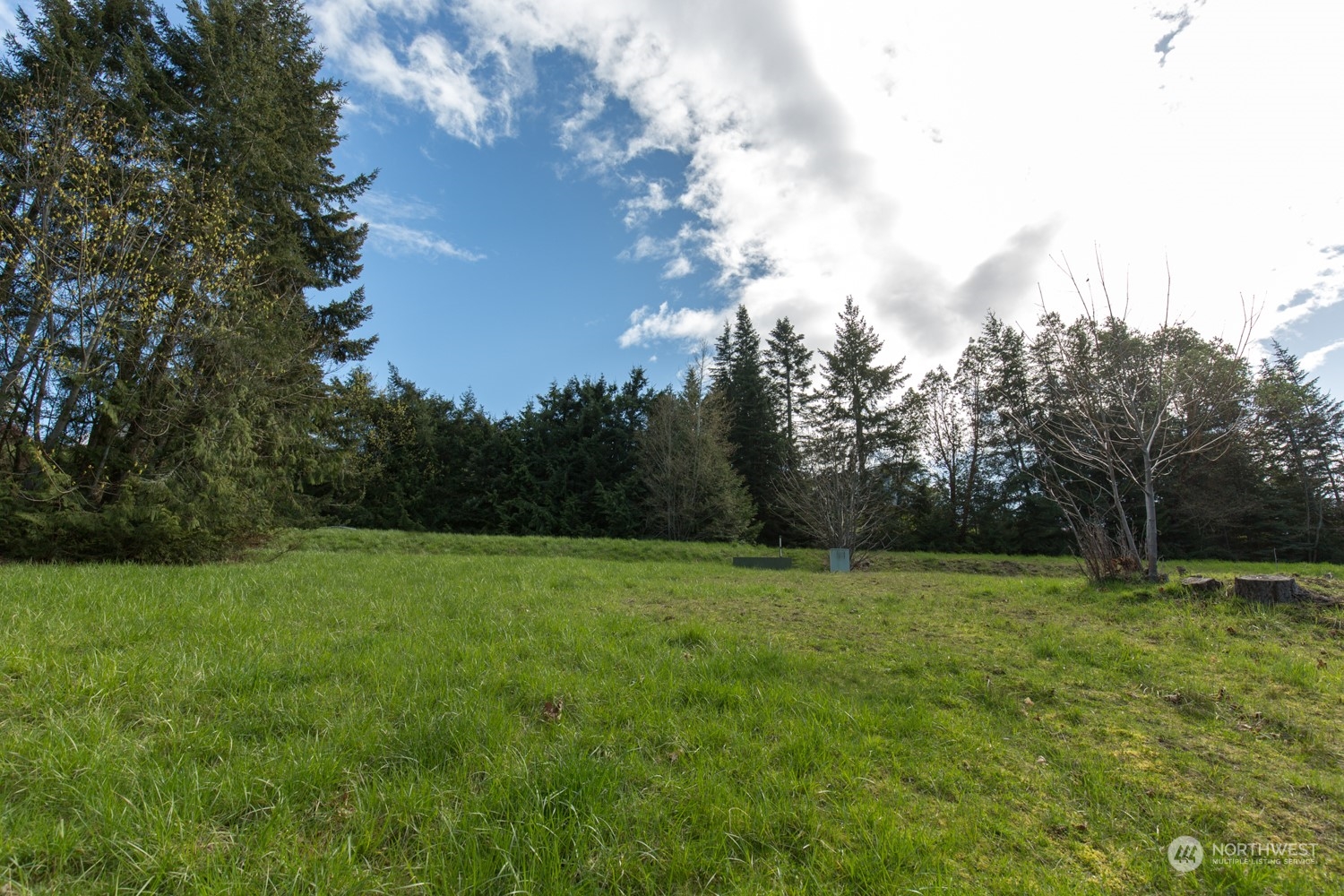 a view of outdoor space with a garden and trees