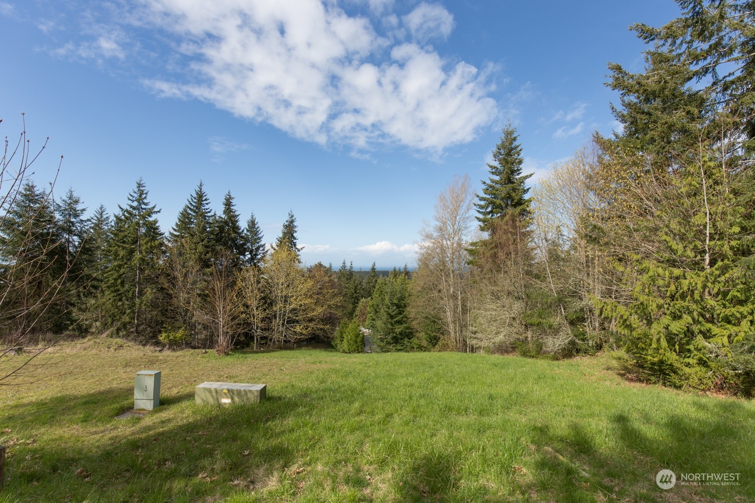 9999 Fox Hollow Road Sequim, WA 98382 - Photo 11 of 22