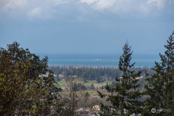 a view of a garden with a fountain