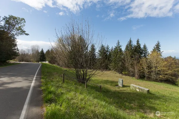 a view of a field with trees in the background