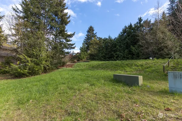a view of outdoor space and yard