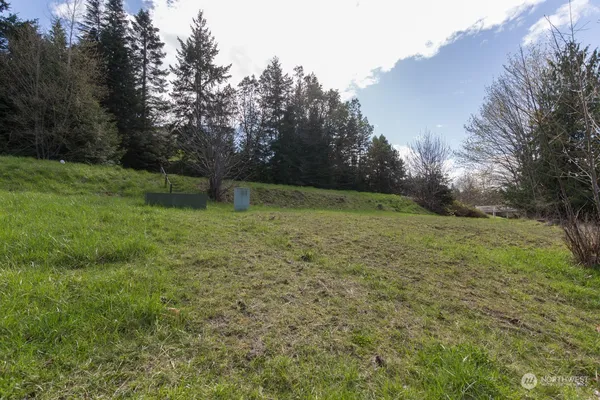 a view of a yard with an trees