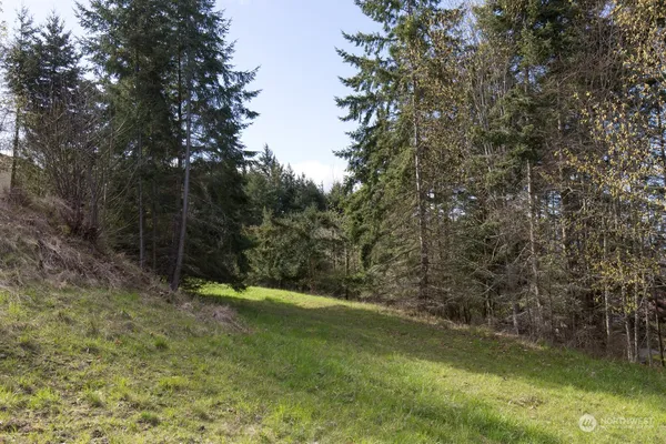 a backyard of a house with lots of plants and tree