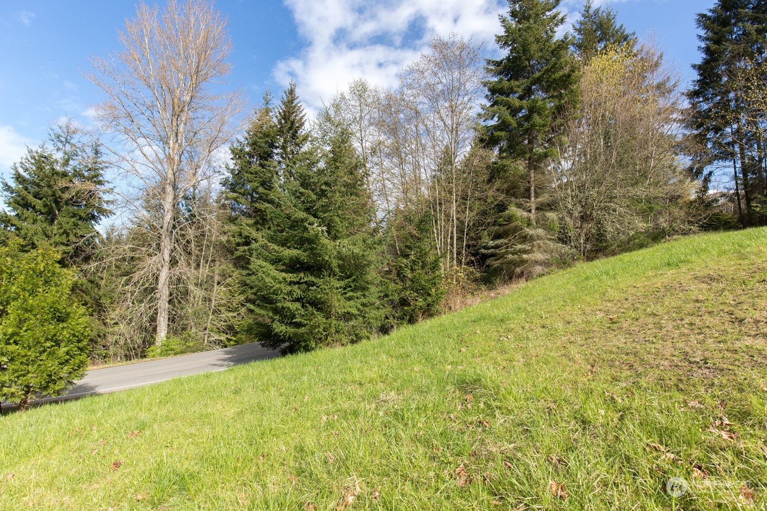 9999 Fox Hollow Road Sequim, WA 98382 - Photo 17 of 22
