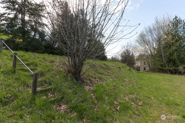 a big yard with lots of green space and plants