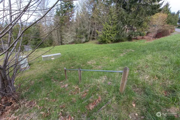 a view of a field with trees in the background