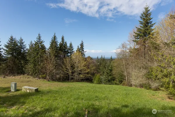 a view of a yard with large trees
