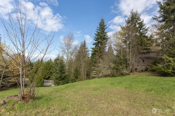 a view of a trees with a yard
