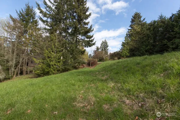 a view of a grassy field with trees
