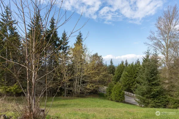 a view of a backyard