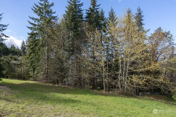 a view of a field with trees