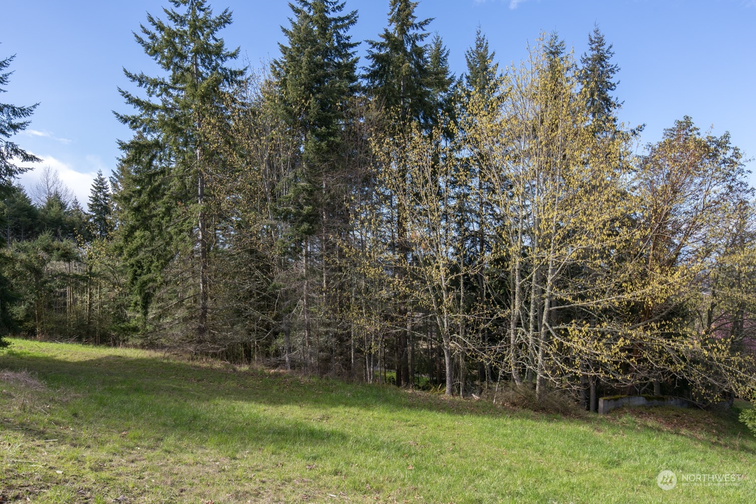 9999 Fox Hollow Road Sequim, WA 98382 - Photo 8 of 22