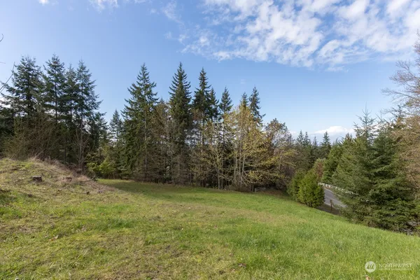 a view of a yard with trees in the background