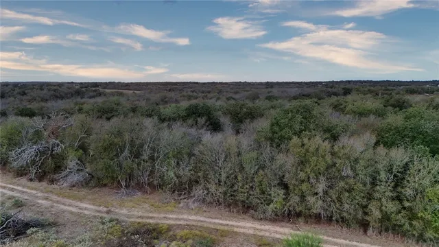 a view of a dry yard with green space