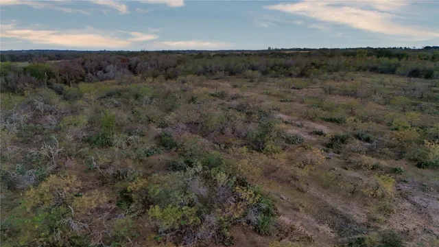 a view of a dry yard with green space