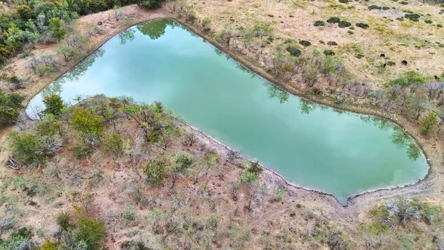 a view of a big yard with lots of green space