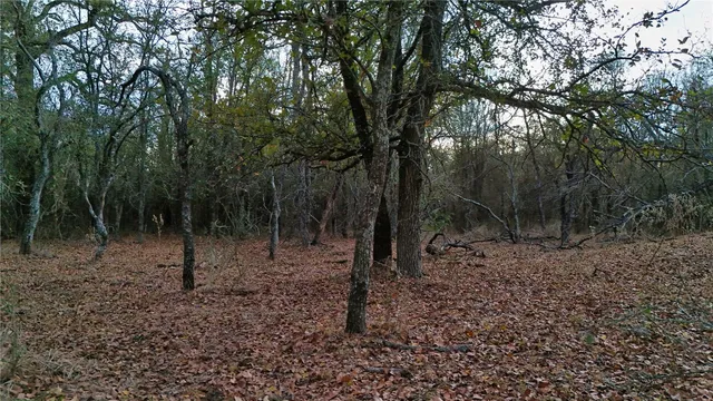a view of a yard with trees in the background