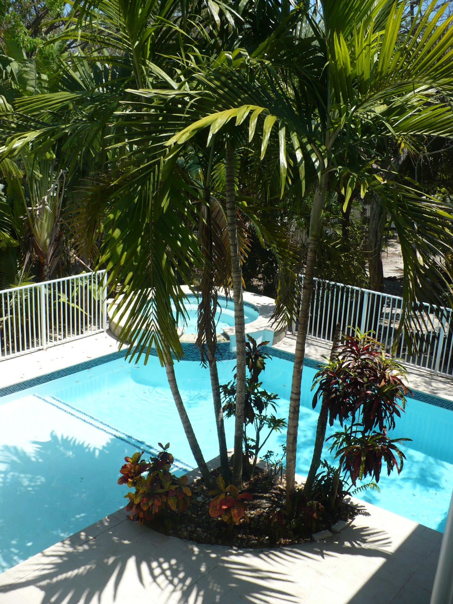 213 Coral Road Islamorada, FL 33036 - Photo 16 of 61 P1100218