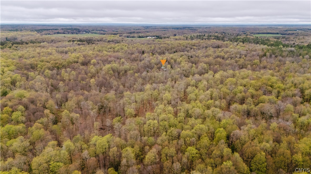 3642 Van Brocklin Road Worth, NY 13659 - Photo 43 of 47