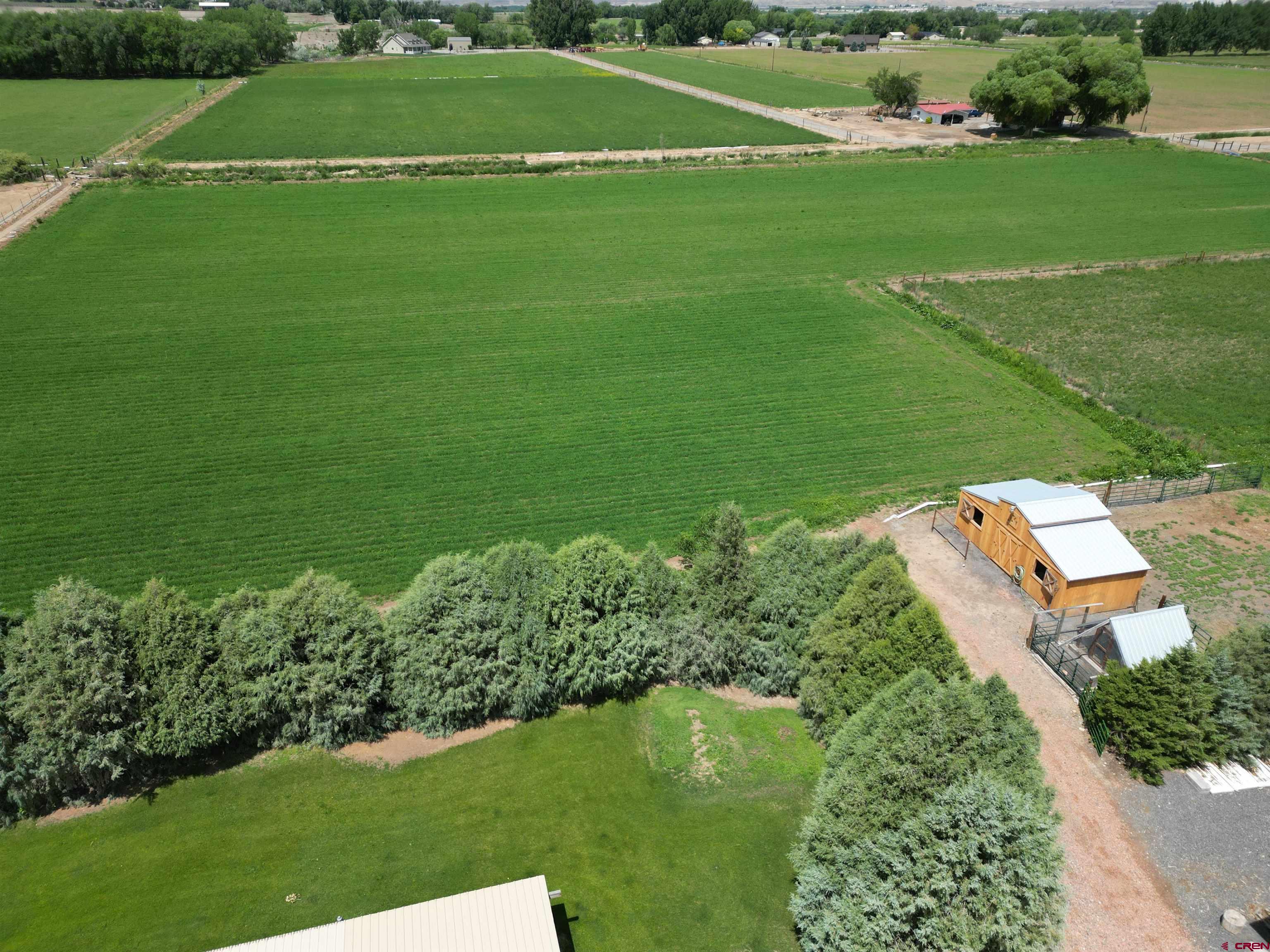 14894 Deer Run Road Delta, CO 81416 - Photo 31 of 40