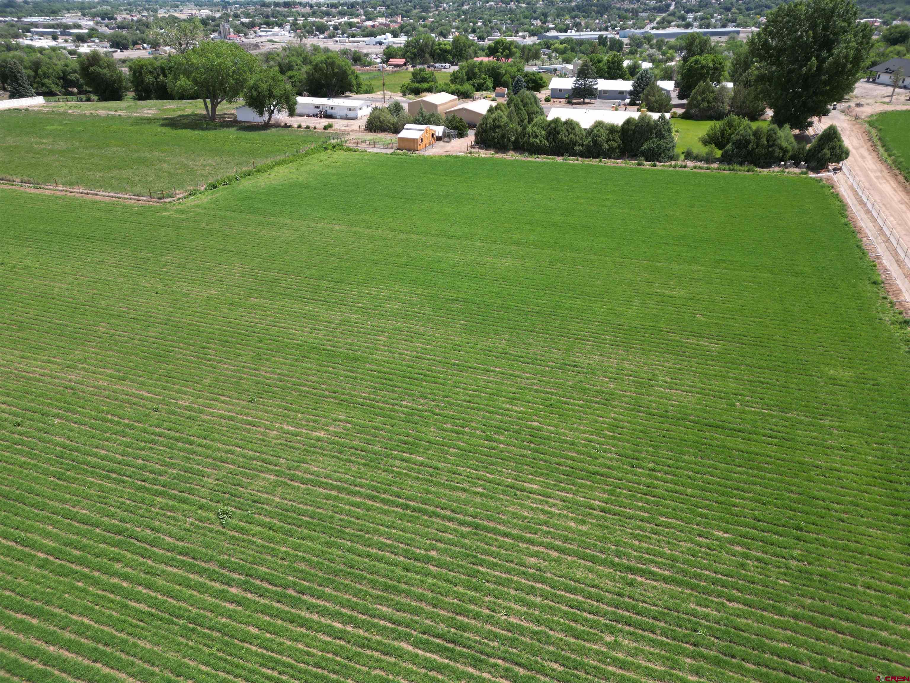 14894 Deer Run Road Delta, CO 81416 - Photo 32 of 40 a view of a green field