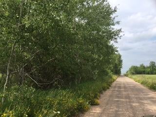 80-acres South Maple Road Brimley, MI 49715 - Photo 1 of 6 Gallery Image 1